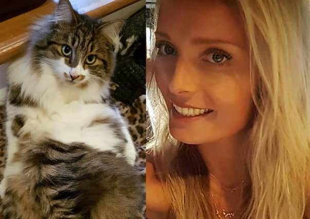 Pet cat Ozzy - who has been missing from his home in Wisborough Green since climbing into a Tesco delivery van - with owner Mia Terry SUS-170713-153002001