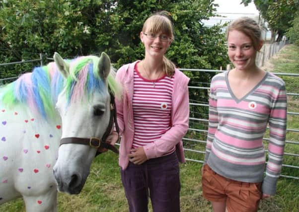 Ayla and Esme with Winnie the horse at last year's Binsted Strawberry Fair