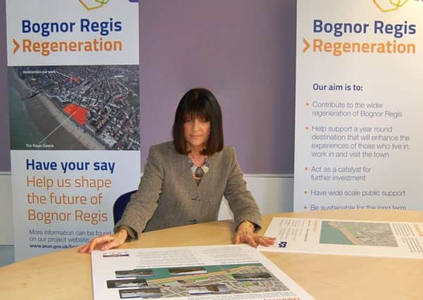 Arun District Council leader Gillian Brown pictured in 2015 studying the information boards for the regeneration consultation
