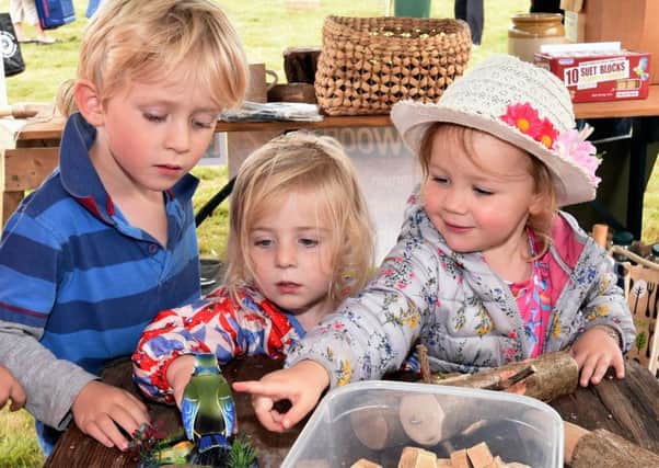 Binsted Stawberry FairPictured are cousins, L-R Freddie Barker(5), Lucy Barker (2) and Millie Jones(3). Binsted, West SussexPicture: Liz Pearce 23/07/2017LP170380 SUS-170724-075806008