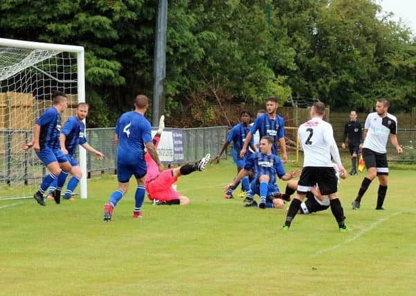 Pagham on the front foot against Fareham / Picture by Roger Smith