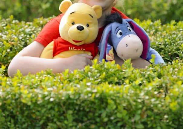 Banned - Winnie the Pooh, pictured with his friend Eeyore