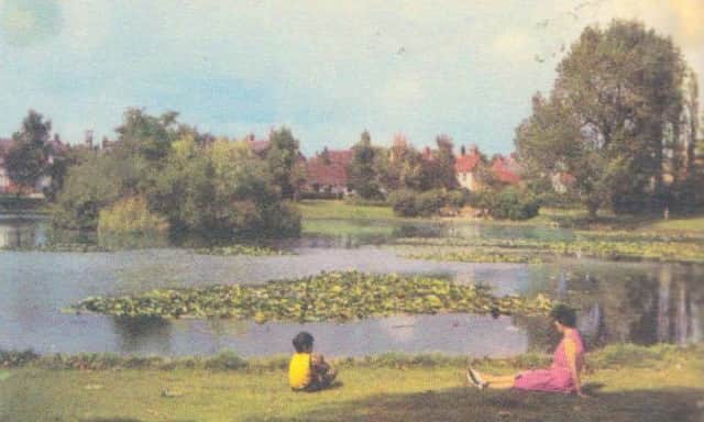 Hailsham Common Pond SUS-170727-103045001