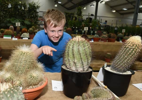 Sussex branch of British Cactus & Succulent Society Show.
Pictured is Drew Gasson (10) at the show. 
South Downs Nurseries, Hassocks, West Sussex. 
Picture: Liz Pearce 22/07/2017

LP170315 SUS-170722-192618008