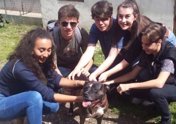 Some of the teenagers who dedicated their National Citizen Service (NCS) youth programme project to the Barby Keel Animal Sanctuary. PlBDo6Yx_K1pWkvC9kmF