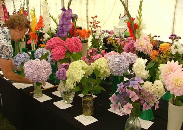 Beautiful blooms at a previous Crowhurst & District Horticultural Society's summer show at Crowhurst Village Fayre