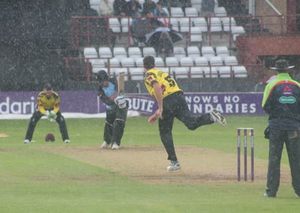 Sussex bat in the rain