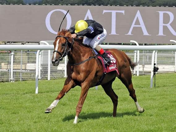 Stradivarius wins the Goodwood Cup / Picture by Malcolm Wells