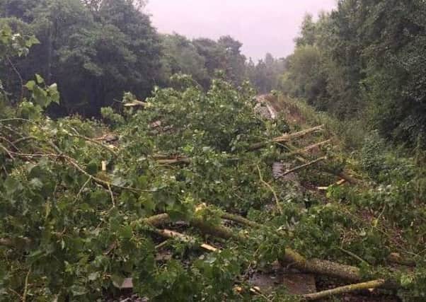 A tree fell on a railway line in Lingfield. Picture: Southern rail SUS-170208-164704001