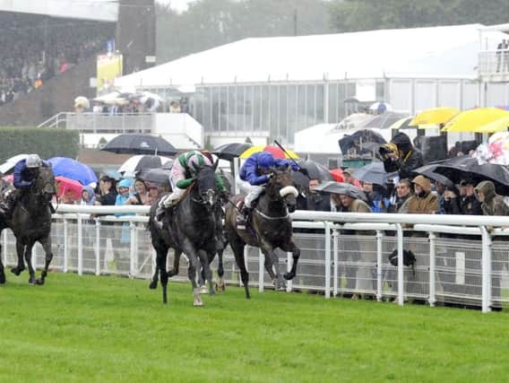 The brollies are everywhere during Wednesday's Sussex Stakes / Picture by Malcolm Wells