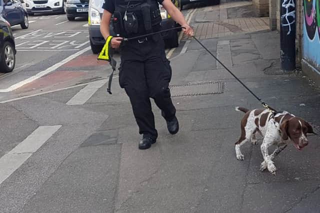 A sniffer dog turned up at one of the raids