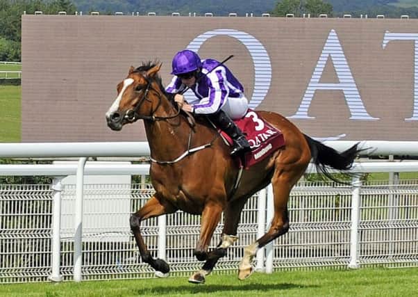 The Qatar Goodwood Festival finishes on Saturday. Malcolm Wells