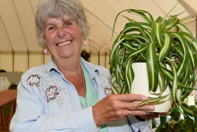 Chris Pannell with her spider plant. Pictures: Liz Pearce LP170750