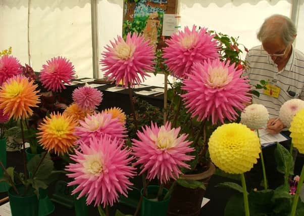 Crowhurst Flower Show SUS-171008-101741001