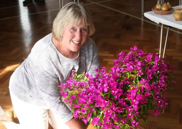 Lorraine Grocott won first prize for her flowering pot plant and second prize for her mixed fuchsias. Picture: Derek Martin DM17839528