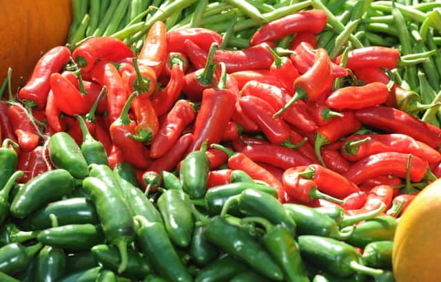Chillies on display  Picture: Paul Jacobs