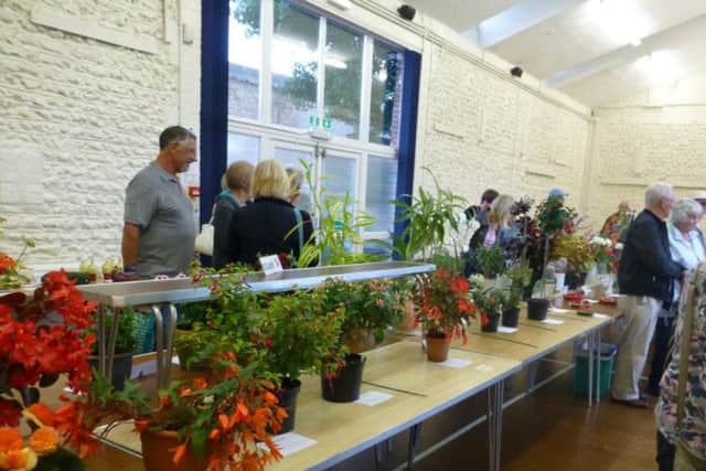 Some of the exhibits at East Preston and Kingston Horticultural Society's annual flower show