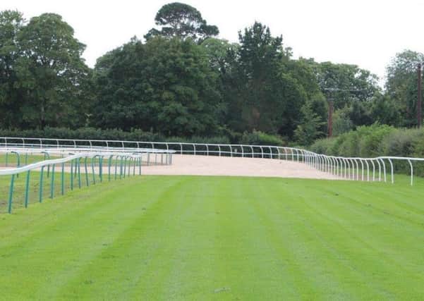 The new-look section of the Fontwell track