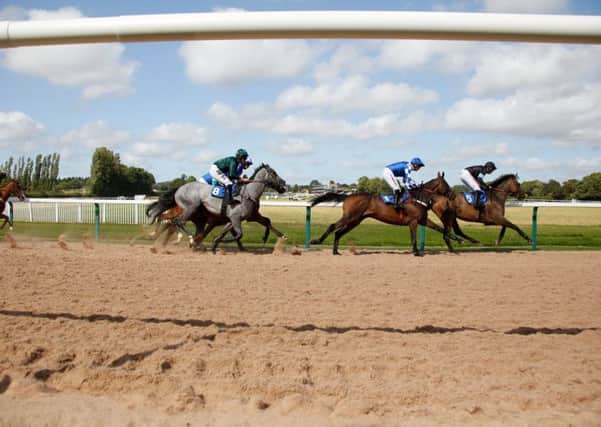Horses and jockeys get their first competitive taste of the new all-weeather section of track / Picture by Clive Bennett