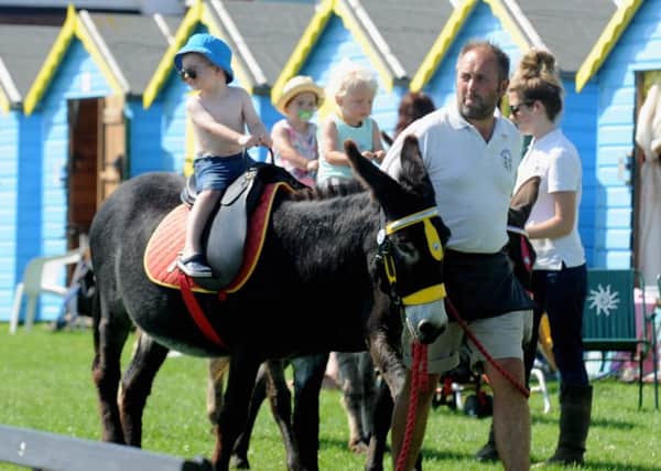 Donkey rides will be on offer at Fun on the Prom, weather permitting. Picture: Louise Adams LA1500181-6
