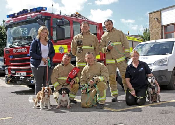 All West Sussex fire engines are now carrying animal oxygen masks to help save the lives of pets caught up in fires SUS-170824-144239001