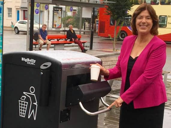 Labour councillor Gill Mitchell is responsible for environment, transport and sustainability on the council