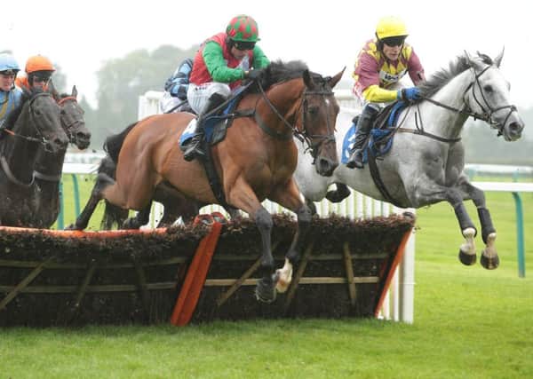 Workbench on the way o his latest Fontwell victory / Picture by Nigel Bowles - Connors