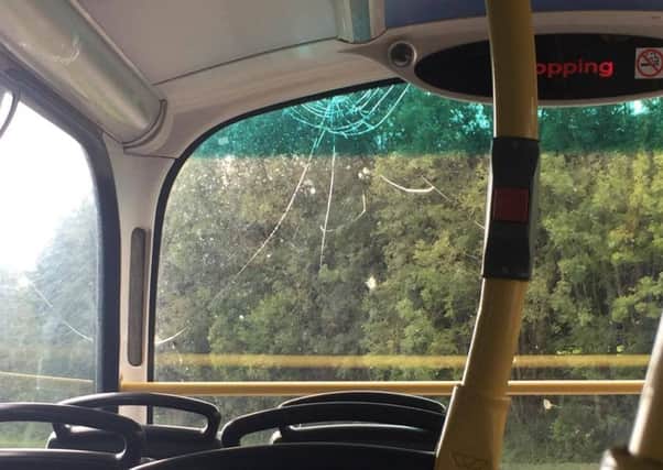 A broken windscreen on a Compass Travel school bus. Picture: Leah Keiley