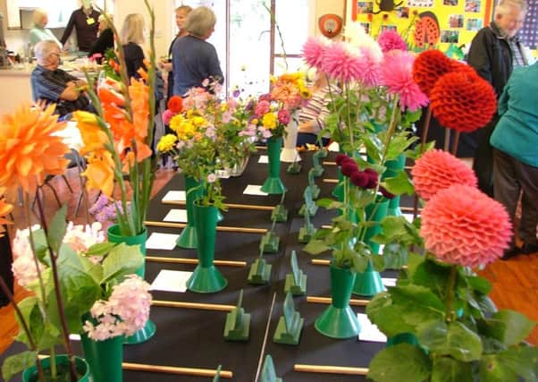 Crowhurst & Disitrict Horticultural Society Autumn Show 2017
