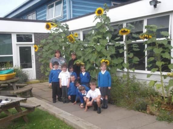 Pupils and staff with the sunflowers