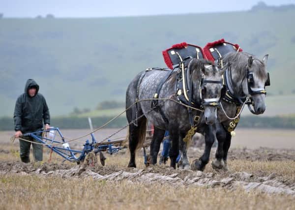 Laughton and District Agricultural Society's 87th ploughing match. Photograph by Peter Cripps (SUS-170921-084219008)