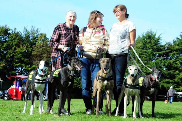 The  team from the Retired Greyhound Trust. Picture: Kate Shemilt ks171053-1