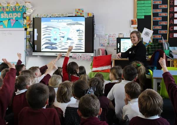 Children learn about whales in the classroom. Picture: ORCA.