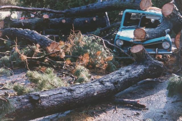 A car crushed by falling trees duringt he Great Storm of 1987 Picture: Ken Franks