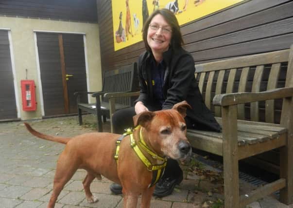 Tracey Rae, rehoming centre manager at Dogs Trust Shoreham