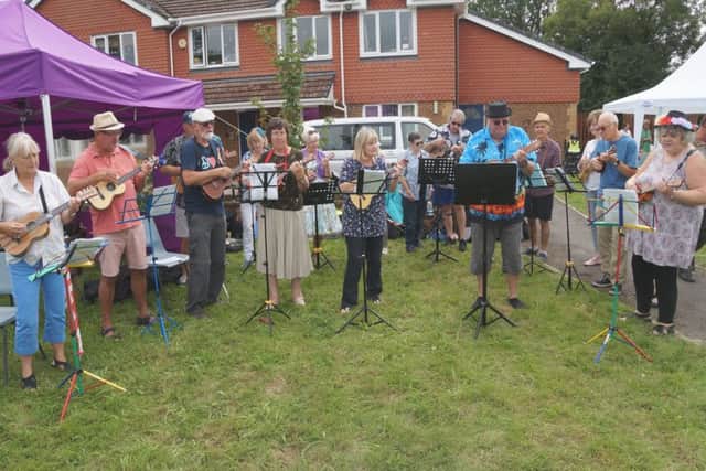 Ukulele performers