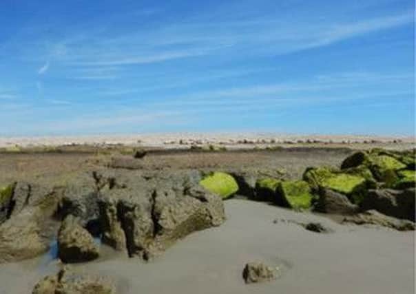 Medmerry nature reserve is named in the trail plans