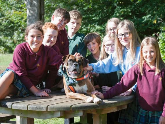Clay the boxer dog with students from Cardinal Newman