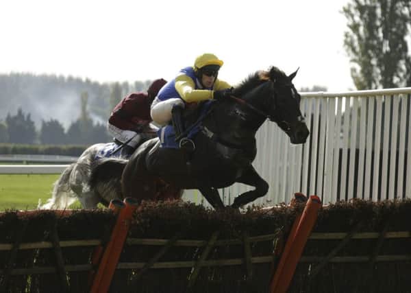 Autumn action at Fontwell Park / Picture by Clive Bennett