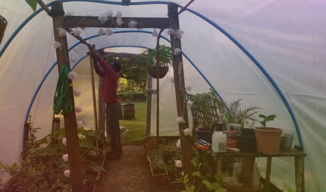 Culture Kitchen's members have free use of Amy Stoddard and Femi Ajayi's vegetable garden