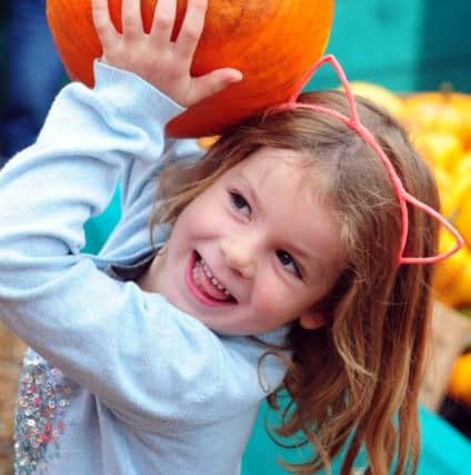 ks171079-3 Slindon Pumpkin  phot kate
Abbie Phillips, five, picks her pumpkin.ks171079-3 SUS-170910-143436008