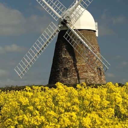 Halnaker Windmill in 2014, pictured by Paul Vincent