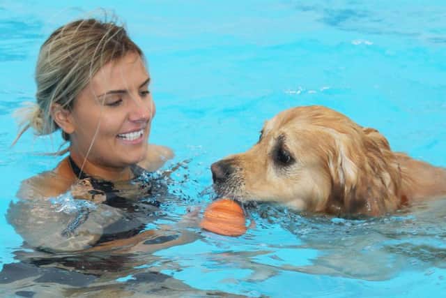 Making a splash! Dogs and their owners take a dip in the lido (Photograph: Eddie Mitchell)