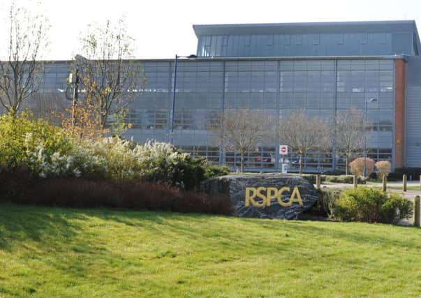 RSPCA in Southwater