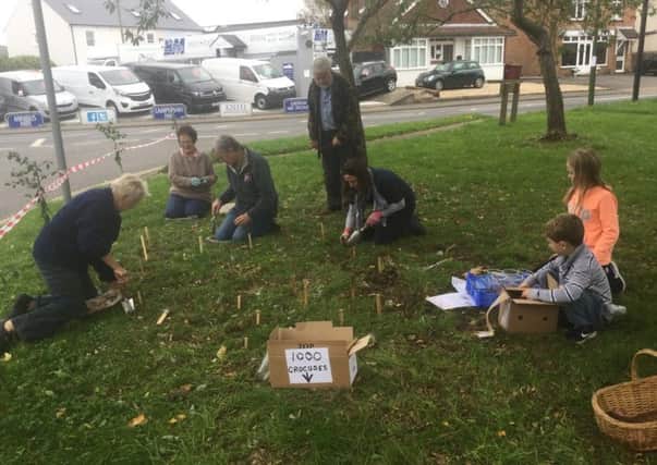 Residents planting up the grass area at the corner of Whyke Road and Bognor Road, Chichester