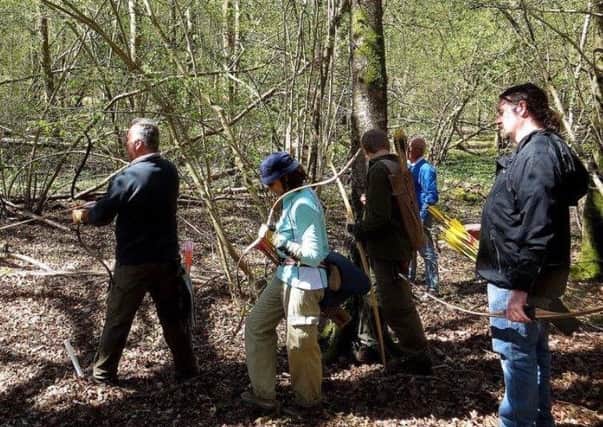 Forest Knights and 'Ratpack' archers in Binsted Woods