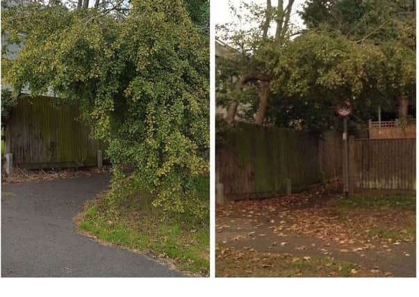 Before and after: branches cut back to reveal a footway