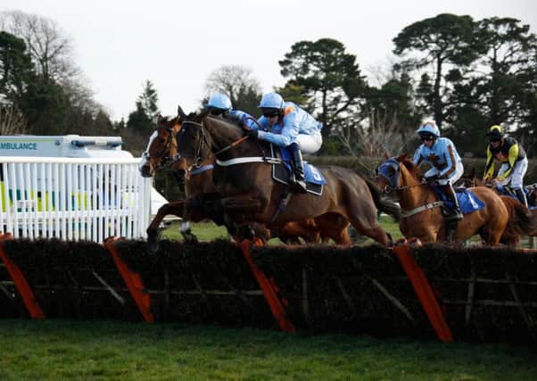 Jumps action at Fontwell Park / Picture by Clive Bennett