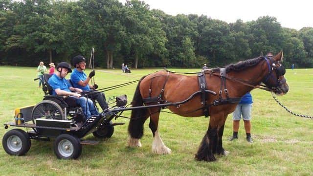 The Carriage Driving Association was one of many to benefit from Scope