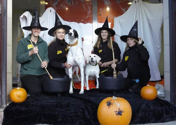 Staff at Dogs Trust Shoreham in the Halloween spirit with Count Macular and The Boogieman